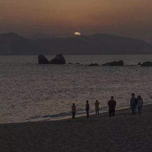 精品99在线观看
